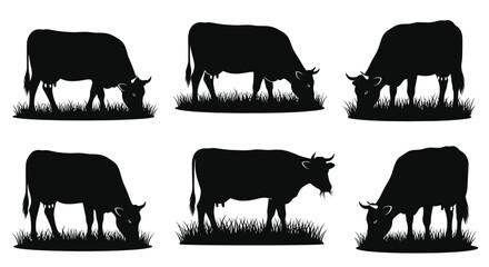 Black silhouettes of grazing cows in a field of grass