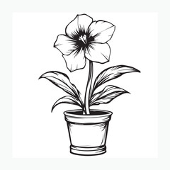 flower in a pot