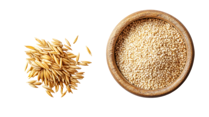 Barley Grains and Barley Powder Overhead Side by Side on Transparent Background