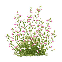 An EPS format illustration, vector, simple flat 2D icon, minimalist design, icon set, A Simple 2D vibrant eyebright herb with small blossoms illustration isolated on a white background