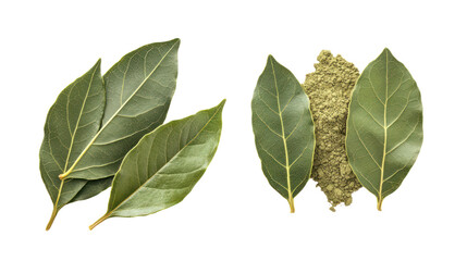 Fototapeta premium Dried bay leaves and cannabis bud isolated on transparent background