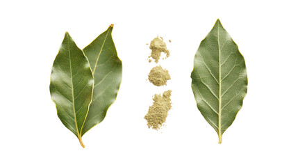 Two green bay leaves and a small pile of dried bay leaf buds isolated on transparent background