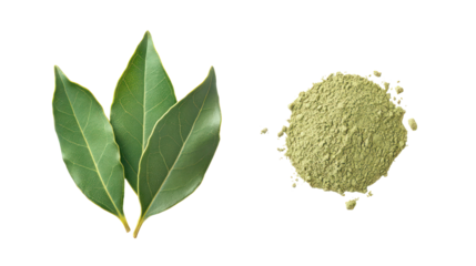 Fresh bay leaves and ground bay leaf powder isolated on transparent background