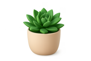 Green succulent plant in pot 3d rendering
