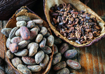Close-up of brown cocoa beans and cocoa nibs with dry cacao pod