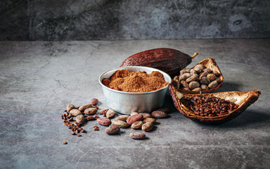 Natural cocoa powder with brown cocoa beans and dry cacao nibs on gray background