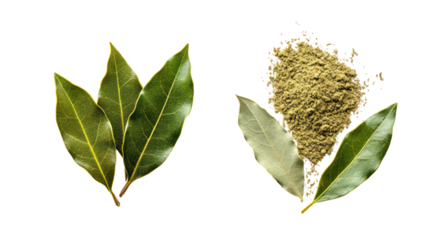 Whole bay leaves and ground bay leaf spice isolated on transparent background