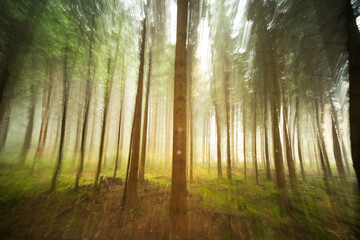 Obraz premium Abstract ultra-wide angle motion blur forest background. Foggy or misty autumn morning, creative intentional camera movement, rising sunlight in the background, no people