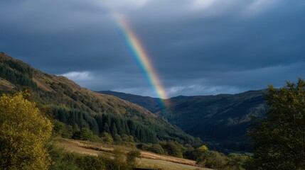 Bright Rainbow Arching Over Cleared Sky After Rain in Serene Mountain Landscape