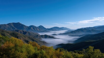 Serene Ridge Wrapped in Soft Blanket of Fog at Early Morning Light