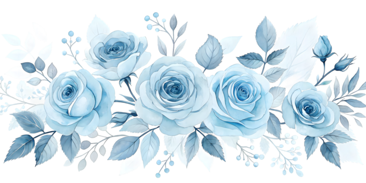 Blue rose watercolor floral arrangement isolated on transparent or white background. Flower png.
