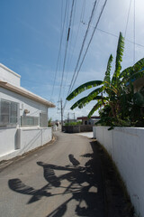 バナナの木や電線の影がある天気の良い田舎の路地裏の道