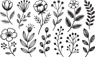 Collection of hand drawn black floral elements and botanical illustrations