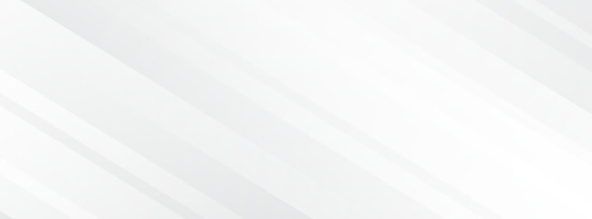 Obraz premium Abstract Shadow. blurred background. gray leaves that reflect concrete walls on a white wall surface for blurred backgrounds and monochrome wallpapers.