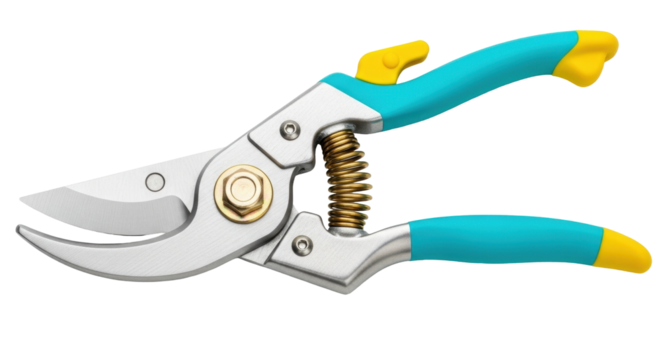 Isolated pruning shears with blue grips on a neutral background for gardening purposes