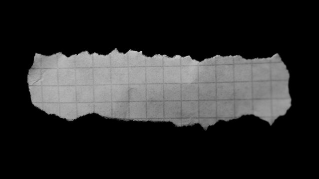 Pieces Of Paper 02