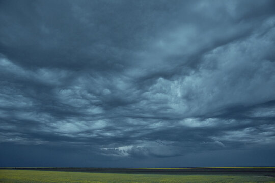 Cumulonimbus asperitas storm clouds with rapeseed in the background