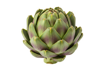 Isolated artichoke edible bud, fresh vegetable, healthy vegetarian ingredient, globe tasty snack