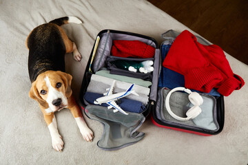 A beagle dog is sitting on the bed next to an open suitcase with warm clothes.