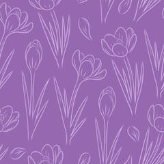 Seamless pattern with crocuses on a purple background. The concept of nature, spring. Hand drawing, doodle, line drawing. Vector illustration for the design of postcards, textiles, banners, posters