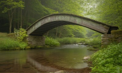 Misty forest bridge over a tranquil stream