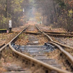 tory, szyny kolejowe
