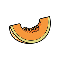 Melon-like cantaloupe slice, orange inside,