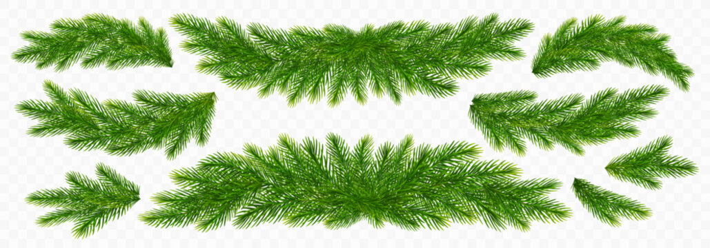 Christmas spruce branches. Fir twigs with green needles. Realistic fir tree branches border isolated on transparent background for greeting New Year and Xmas cards. Vector illustration