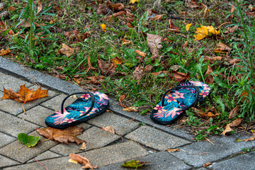 Colorful flip-flops left on a pathway surrounded by fallen leaves in autumn