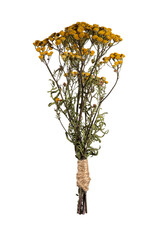 Dried yellow Tansy flowers isolated on a white background. Traditional herbal plant Tanacetum, folk remedies, natural wellness practices. Ideal for botanical design, eco craft and herbal themes
