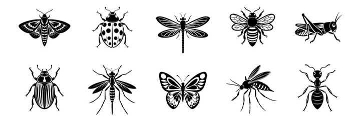 Black and white insect icons set with moth, ladybug, dragonfly, bee, grasshopper, beetle, mosquito, butterfly, wasp and ant