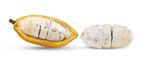 Cocoa fruit  isolated on transparent png ( image from camera )