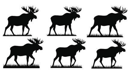 Silhouette collection of six majestic moose standing in grassy fields
