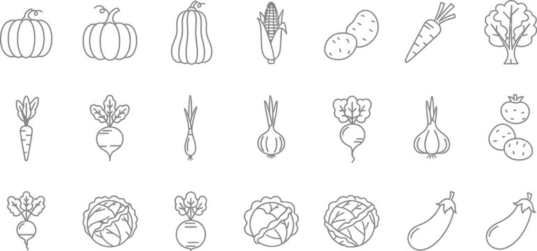 Hand drawn vegetables in a vector style