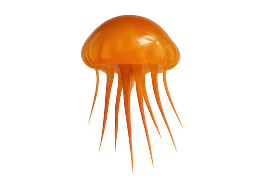 Orange plastic jellyfish toy featuring translucent bell and trailing tentacles, rendered on transparent background
