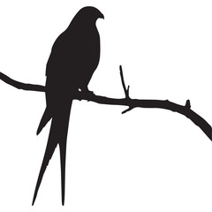 Stylized Bird Silhouette Perched on Branch in Side Profile Isolated Vector.