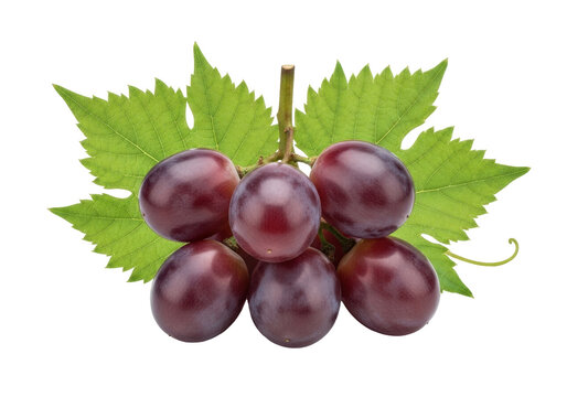 Fresh red grapes with leaves isolated PNG, delicious fruit on transparent background for healthy eating and summer designs