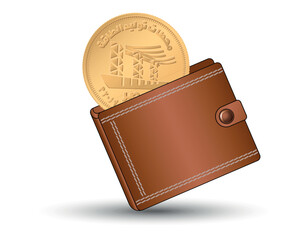 Egyptian money with a wallet in the background. 50 piastres 2019 Power Stations. A 50 piastres coin into the wallet.