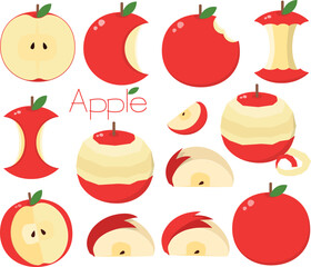 Apple Variations Illustration Set: Peeled, Sliced, Bitten, and Rabbit Cut