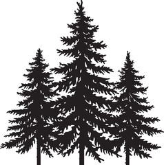 Obraz premium Three Black Silhouette Evergreen Pine Trees with Detailed Foliage on White Background Keywords: trees, pine, evergreen, coniferous, silhouette, black, white, background, nature, forest, foliage