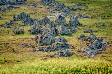Green shale formations on the surface in the Casimcei Plateau in Romania
