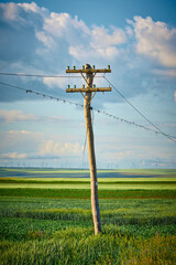telegraph poles through which landline telephones are carried
