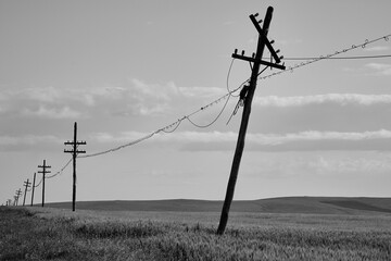 telegraph poles through which landline telephones are carried