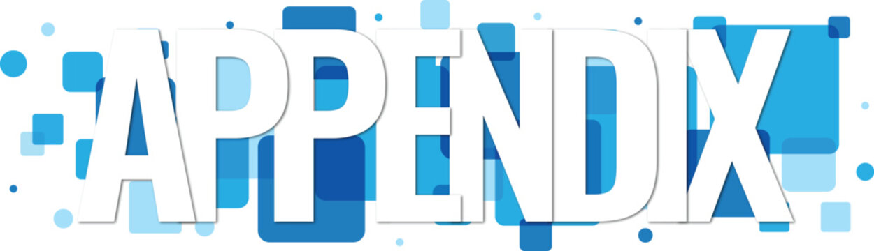 APPENDIX text in white letters stands out against a lively blue geometric pattern design