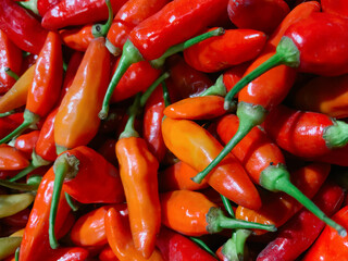 A closeup, vibrant pile of small, bright red and orange chili peppers with green stems, showcasing their texture and intense color