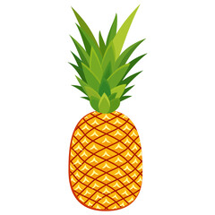 pineapple fruit illustration, summer fresh fruit theme