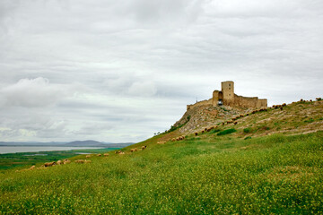 The medieval fortress of Enisala in spring
