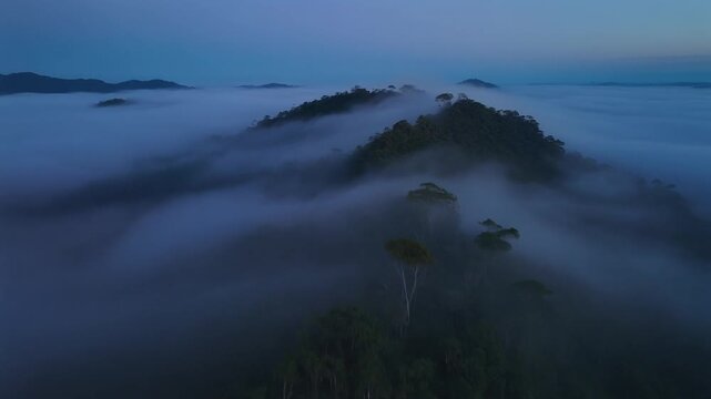Aerial Drone Shot of a Blue Hour Fog Spilling Over Rainforest Ridge