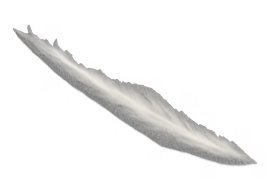 White feather gently floating, depicting concepts of tranquility, spirituality, and weightlessness, isolated object - Powered by Adobe