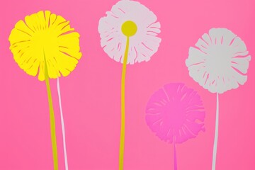 Garden daisy flower petal plant.